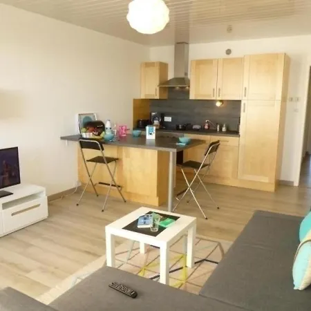 Apartment Appartement A 100M De La Plage Avec Balcon, Parking, Classe 2 Etoiles - Fr-1-224C-66 *
