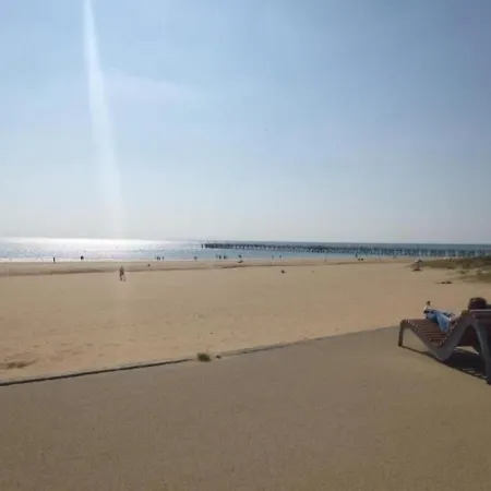 Appartement A 100M De La Plage Avec Balcon, Parking, Classe 2 Etoiles - Fr-1-224C-66